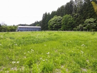 (値下げ) 栃木県日光市 下今市駅23分 農地 406万円の国有財産売却物件情報 #4
