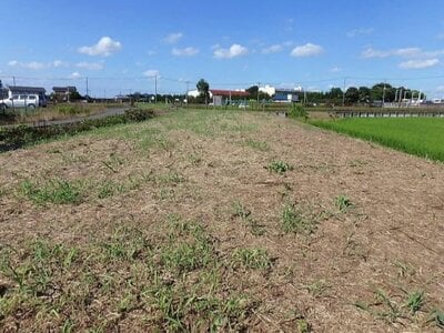 埼玉県羽生市 南羽生駅 農地 37万円の国有財産売却物件情報 #4