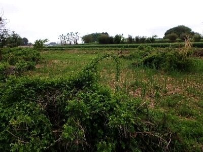 茨城県下妻市 黒子駅 農地 4万円の国有財産売却物件情報 #3