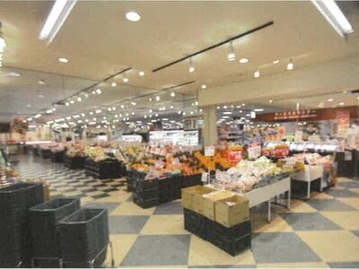 富山県氷見市 氷見駅14分 戸建て 1,167万円の競売物件情報 #4