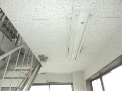 富山県高岡市 高岡駅6分 戸建て 1,208万円の競売物件情報 #7