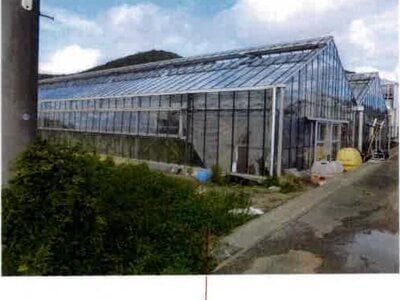 愛知県田原市 三河田原駅 農地 53万円の競売物件情報 #1