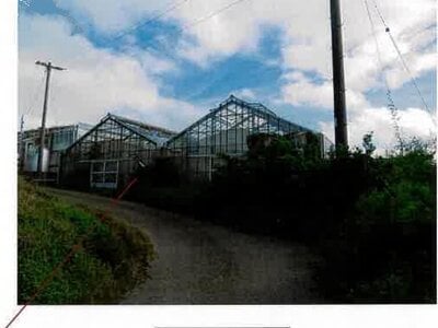 愛知県田原市 三河田原駅 農地 53万円の競売物件情報 #5
