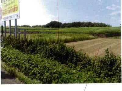 愛知県豊橋市 豊川駅 農地 102万円の競売物件情報 #2