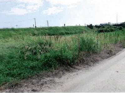 愛知県豊橋市 豊川駅 農地 40万円の競売物件情報 #7