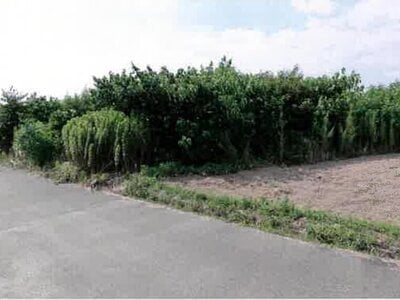 愛知県豊橋市 豊川駅 農地 79万円の競売物件情報 #6