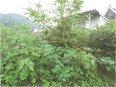 (値下げ) 滋賀県長浜市 河毛駅 土地 60万円の競売物件情報 #6