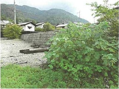 (値下げ) 滋賀県長浜市 河毛駅 土地 60万円の競売物件情報 #8