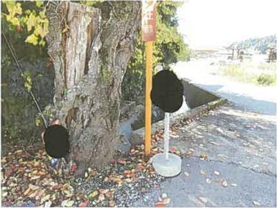 (値下げ) 滋賀県長浜市 近江長岡駅 戸建て 55万円の競売物件情報 #6