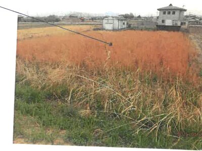 (値下げ) 奈良県磯城郡三宅町 但馬駅6分 農地 137万円の競売物件情報 #1
