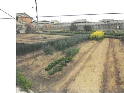 (値下げ) 奈良県磯城郡三宅町 但馬駅10分 農地 230万円の競売物件情報 #1