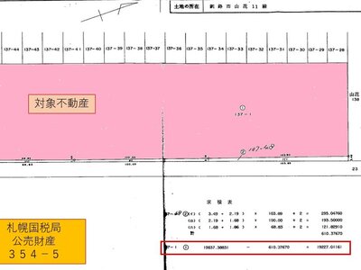 北海道釧路市 大楽毛駅 農地 56万円の国税庁公売物件情報 #8