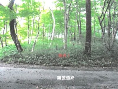 栃木県那須郡那須町 土地 48万円の競売物件情報 #1