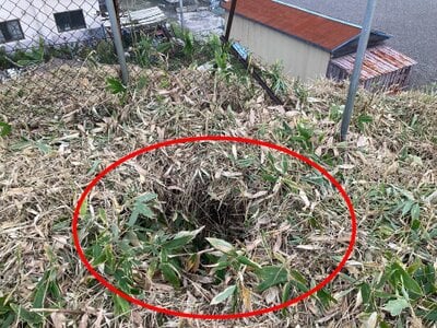 (値下げ) 北海道釧路市 武佐駅 土地 389万円の官公庁公売物件情報 #13