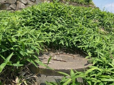 (値下げ) 北海道釧路市 武佐駅 土地 389万円の官公庁公売物件情報 #6