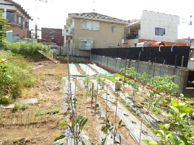 (値下げ) 千葉県八街市 八街駅9分 土地 163万円の官公庁公売物件情報 #5