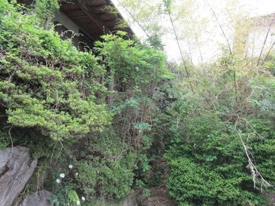 栃木県那須塩原市 黒磯駅19分 戸建て 119万円の官公庁公売物件情報 #4