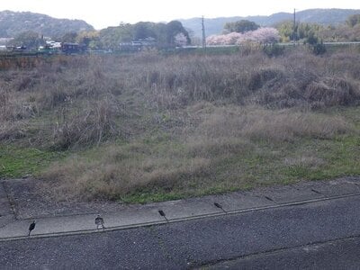 (値下げ) 福岡県豊前市 豊前松江駅 土地 217万円の官公庁公売物件情報 #1