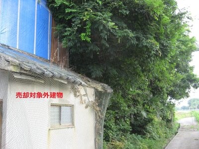 兵庫県洲本市 土地 489万円の官公庁公売物件情報 #8