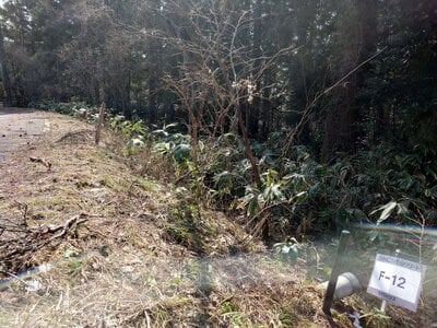 (値下げ) 鳥取県西伯郡伯耆町 伯耆溝口駅 土地 159万円の官公庁公売物件情報 #1