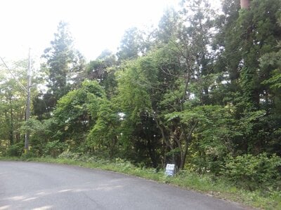 (値下げ) 鳥取県西伯郡伯耆町 伯耆溝口駅 土地 159万円の官公庁公売物件情報 #9