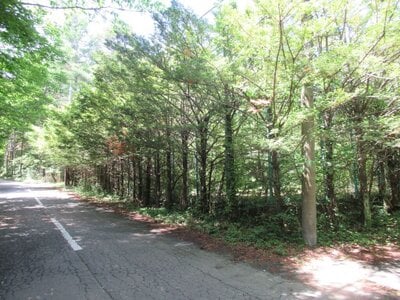 山梨県南都留郡鳴沢村 富士急ハイランド駅 土地 318万円の官公庁公売物件情報 #1
