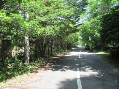 山梨県南都留郡鳴沢村 富士急ハイランド駅 土地 318万円の官公庁公売物件情報 #2