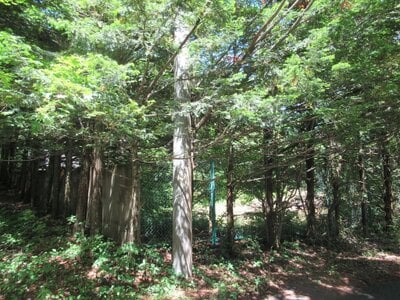山梨県南都留郡鳴沢村 富士急ハイランド駅 土地 318万円の官公庁公売物件情報 #3