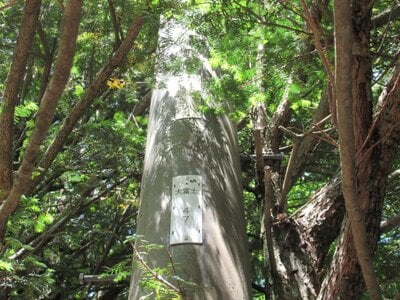山梨県南都留郡鳴沢村 富士急ハイランド駅 土地 318万円の官公庁公売物件情報 #5