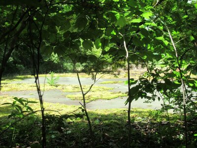 山梨県南都留郡鳴沢村 富士急ハイランド駅 土地 318万円の官公庁公売物件情報 #7
