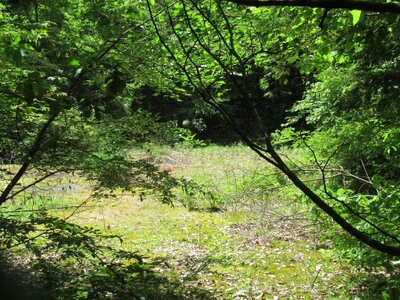山梨県南都留郡鳴沢村 富士急ハイランド駅 土地 318万円の官公庁公売物件情報 #8