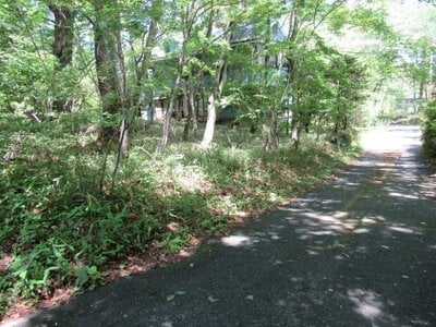 山梨県南都留郡鳴沢村 富士急ハイランド駅 土地 108万円の官公庁公売物件情報 #1