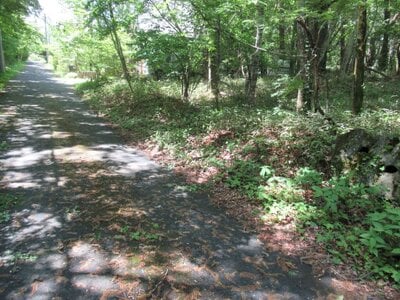 山梨県南都留郡鳴沢村 富士急ハイランド駅 土地 108万円の官公庁公売物件情報 #2