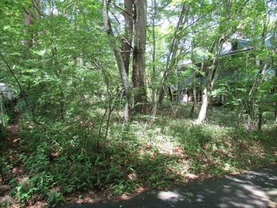 山梨県南都留郡鳴沢村 富士急ハイランド駅 土地 108万円の官公庁公売物件情報 #3