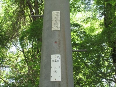 山梨県南都留郡鳴沢村 富士急ハイランド駅 土地 108万円の官公庁公売物件情報 #5