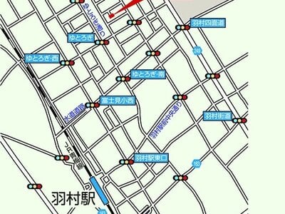 (値下げ) 東京都羽村市 羽村駅11分 戸建て「グランルーチェ」1億1,000万円の官公庁公売物件情報 #1