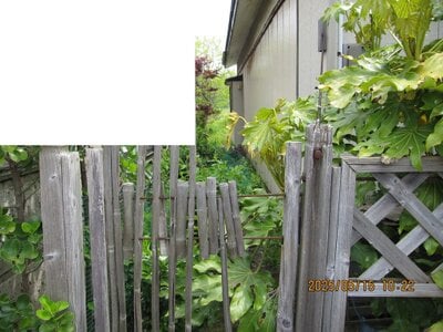 (値下げ) 秋田県由利本荘市 羽後本荘駅 戸建て 5万円の官公庁公売物件情報 #7