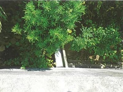 静岡県沼津市 片浜駅21分 土地 206万円の競売物件情報 #5