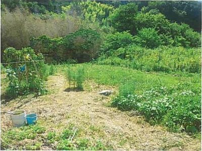 静岡県下田市 稲梓駅30分 戸建て 290万円の競売物件情報 #7