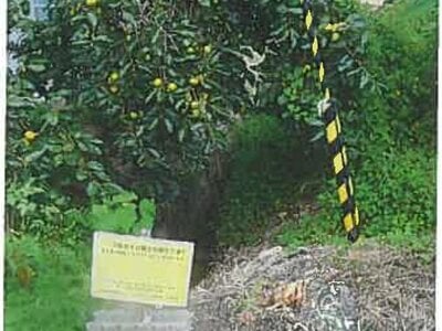(値下げ) 兵庫県三木市 三木駅15分 土地 197万円の競売物件情報 #6