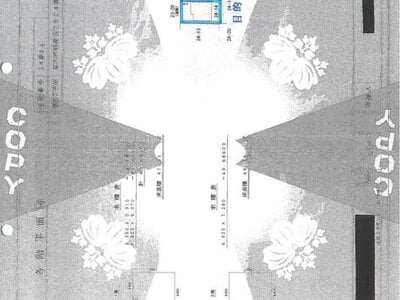 埼玉県草加市 草加駅29分 戸建て 1,738万円の競売物件情報 #21
