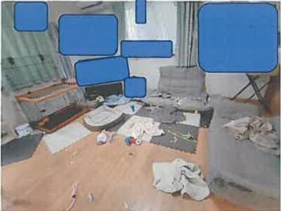埼玉県越谷市 北越谷駅18分 戸建て 881万円の競売物件情報 #4