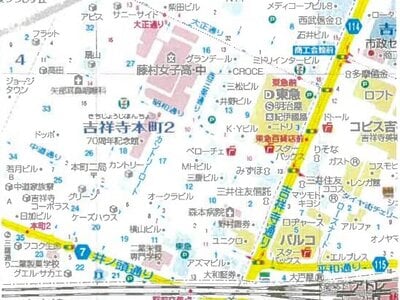 東京都三鷹市 つつじヶ丘駅11分 戸建て 1億3,057万円の競売物件情報 #6