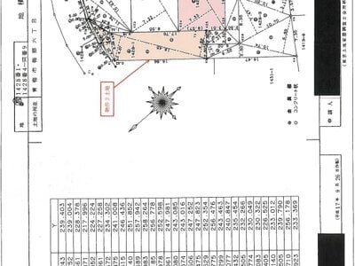 東京都青梅市 石神前駅6分 戸建て 869万円の競売物件情報 #5