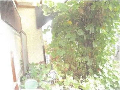滋賀県大津市 瀬田駅22分 戸建て 501万円の競売物件情報 #2