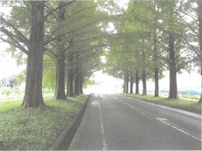 滋賀県高島市 マキノ駅27分 農地 23万円の競売物件情報 #1