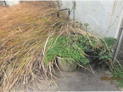 大阪府八尾市 加美駅10分 土地 681万円の競売物件情報 #5