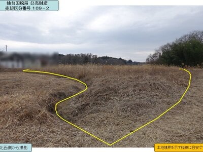 (値下げ) 岩手県一関市 一ノ関駅11分 農地 50万円の国税庁公売物件情報 #1