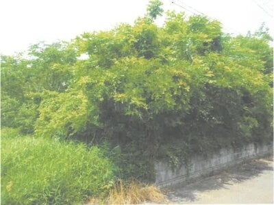(値下げ) 茨城県小美玉市 羽鳥駅 土地 87万円の競売物件情報 #1