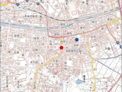 (値下げ) 茨城県水戸市 水戸駅17分 土地 376万円の競売物件情報 #3
